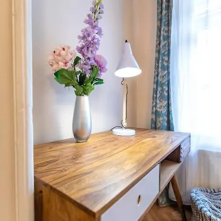 Stylishcozy Brasov